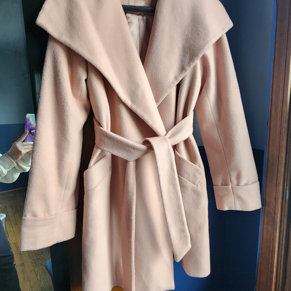 The Limited Soft Pink Trench Coat